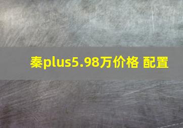 秦plus5.98万价格 配置